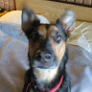 Meet your Posher, Jerry